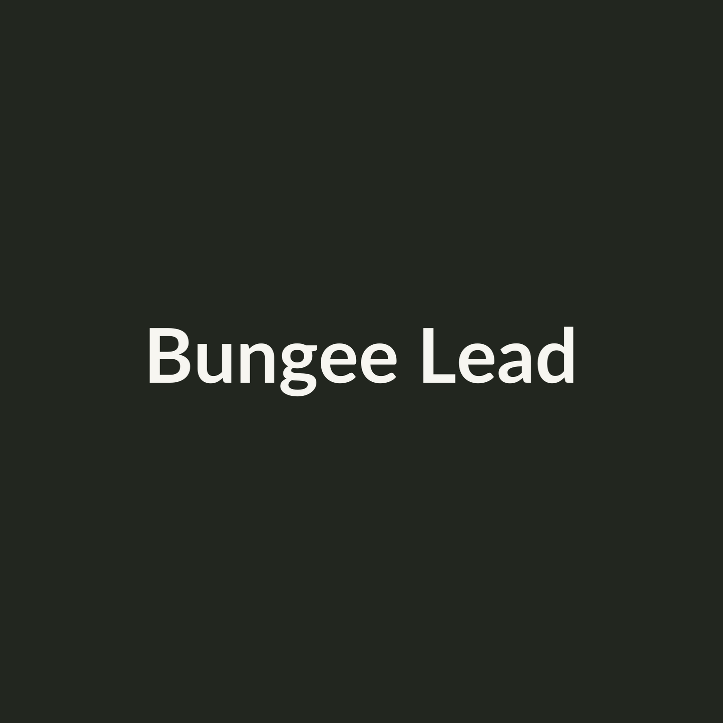 Placeholder — replace with supplier lead photo