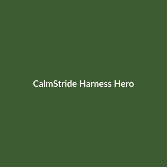 Placeholder — replace with supplier hero shot of harness