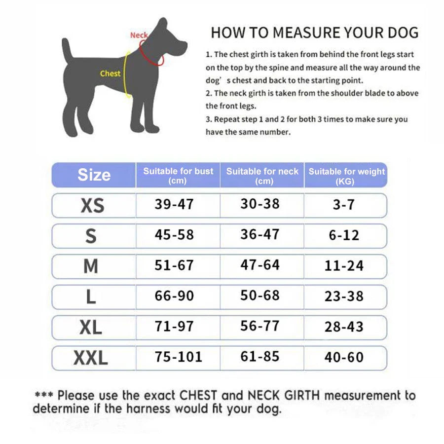 CalmStride harness features